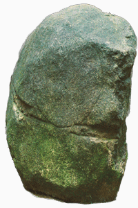 skalniak1