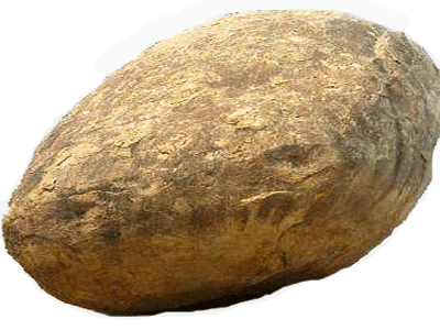 skalniak2